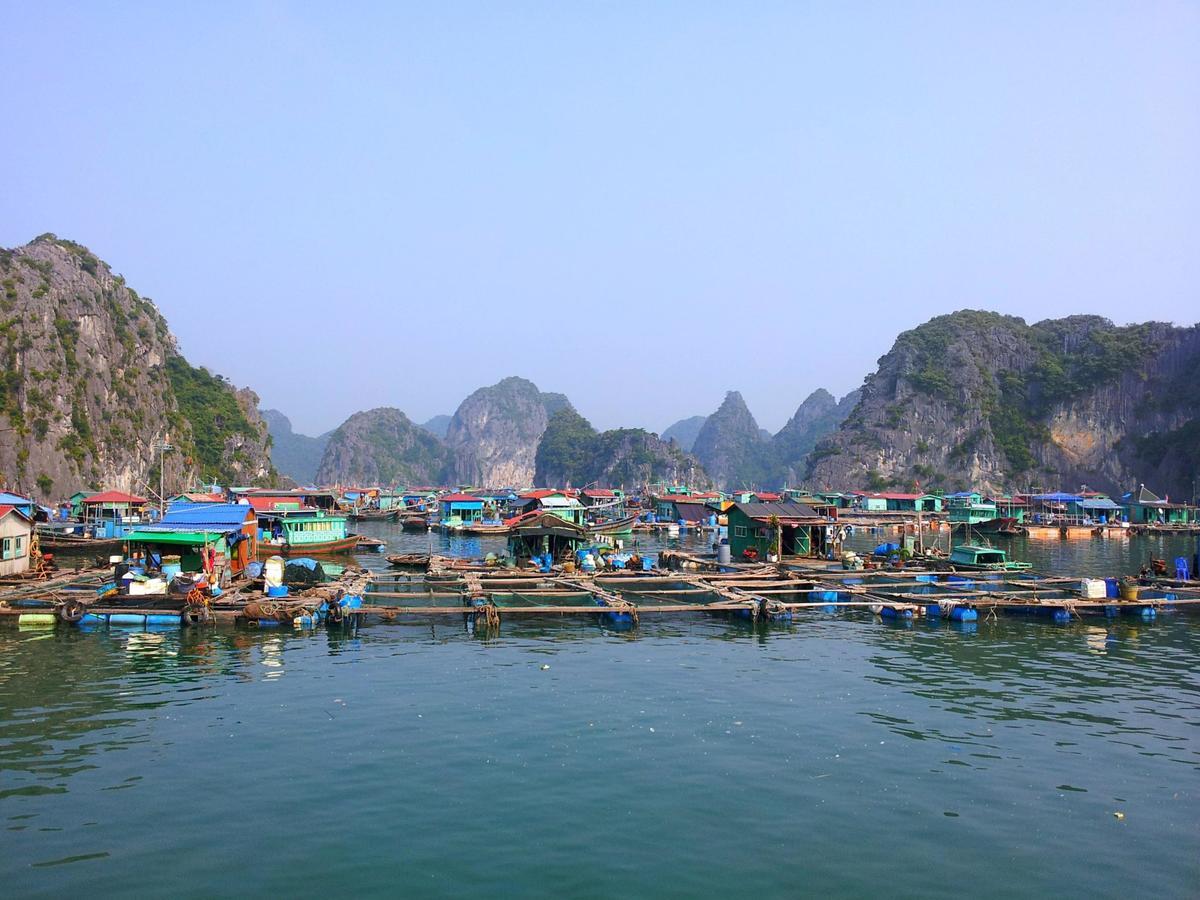 Phuong Dong Hotel Dong Khe Sau Экстерьер фото